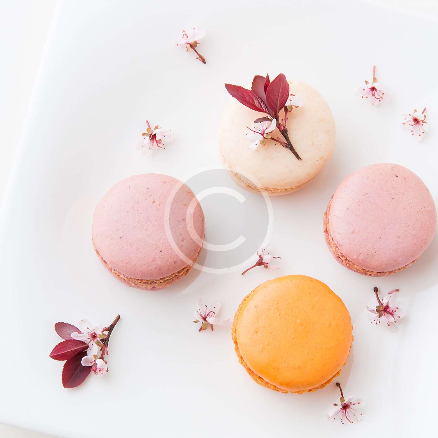 Pastry Mağaza Left Sidebar