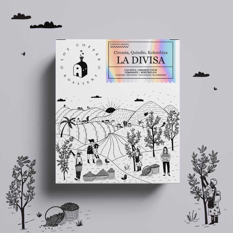 package-ladivisa2.png